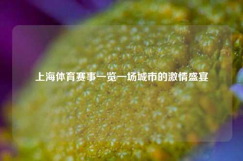 上海体育赛事一览一场城市的激情盛宴