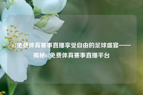 67免费体育赛事直播享受自由的足球盛宴——揭秘67免费体育赛事直播平台