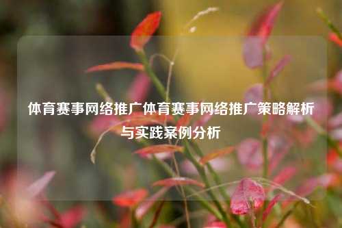 体育赛事网络推广体育赛事网络推广策略解析与实践案例分析