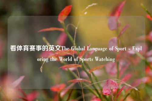 看体育赛事的英文The Global Language of Sport - Exploring the World of Sports Watching