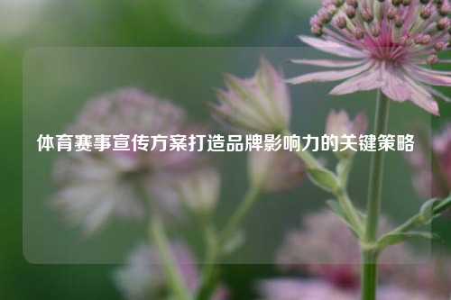 体育赛事宣传方案打造品牌影响力的关键策略