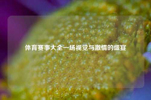 体育赛事大全一场视觉与激情的盛宴