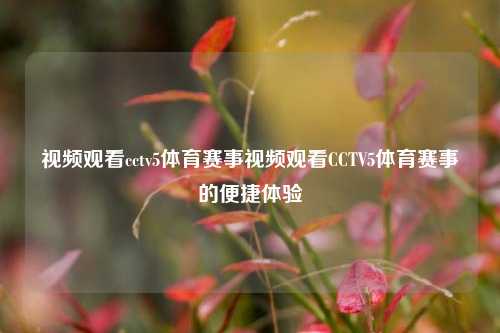 视频观看cctv5体育赛事视频观看CCTV5体育赛事的便捷体验