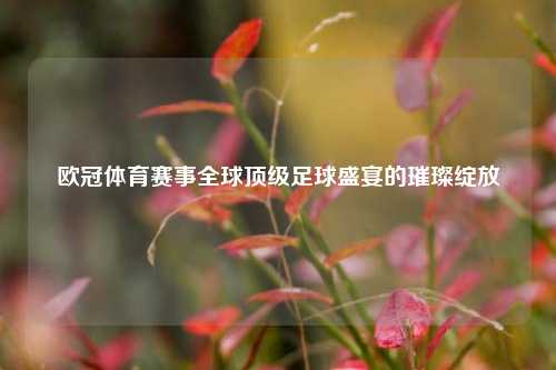 欧冠体育赛事全球顶级足球盛宴的璀璨绽放