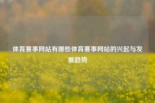 体育赛事网站有哪些体育赛事网站的兴起与发展趋势