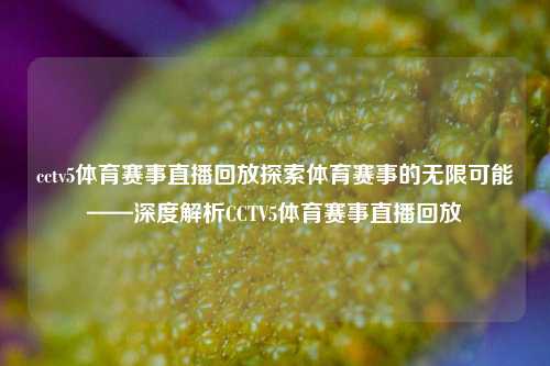 cctv5体育赛事直播回放探索体育赛事的无限可能——深度解析CCTV5体育赛事直播回放
