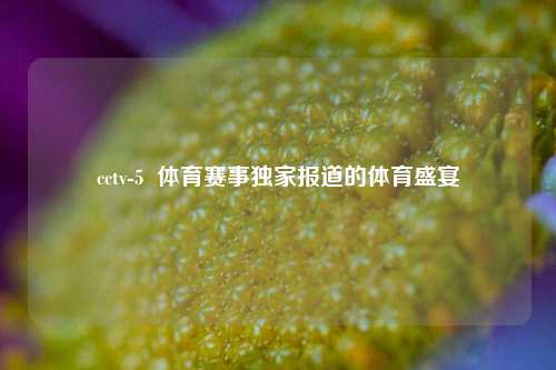 cctv-5  体育赛事独家报道的体育盛宴