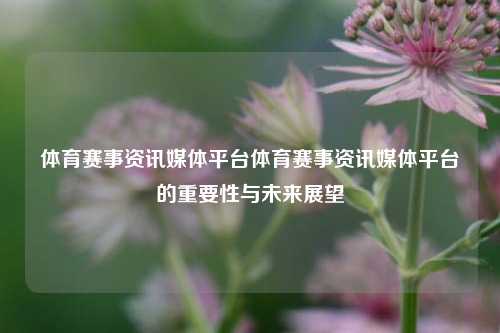 体育赛事资讯媒体平台体育赛事资讯媒体平台的重要性与未来展望