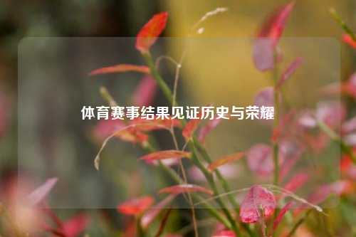 体育赛事结果见证历史与荣耀