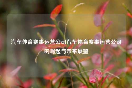 汽车体育赛事运营公司汽车体育赛事运营公司的崛起与未来展望