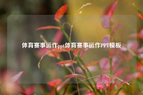 体育赛事运作ppt体育赛事运作PPT模板
