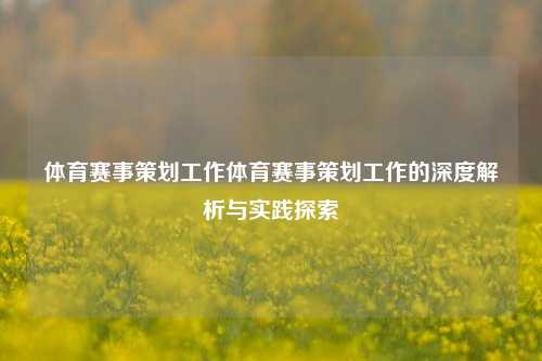 体育赛事策划工作体育赛事策划工作的深度解析与实践探索