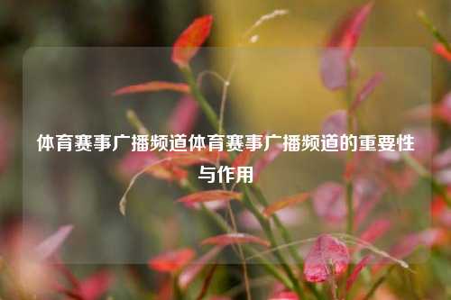 体育赛事广播频道体育赛事广播频道的重要性与作用