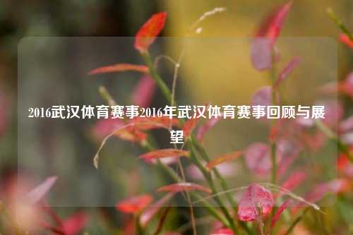 2016武汉体育赛事2016年武汉体育赛事回顾与展望