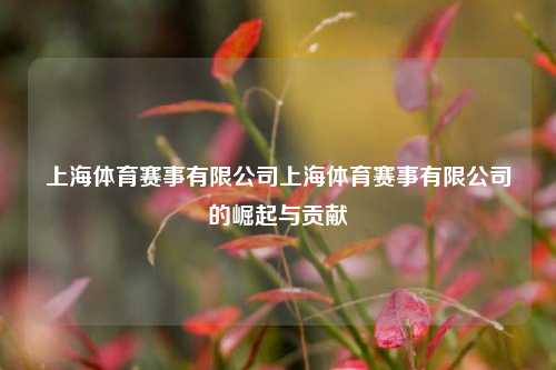 上海体育赛事有限公司上海体育赛事有限公司的崛起与贡献