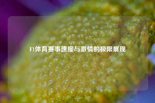 F1体育赛事速度与激情的极限展现
