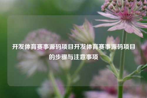 开发体育赛事源码项目开发体育赛事源码项目的步骤与注意事项